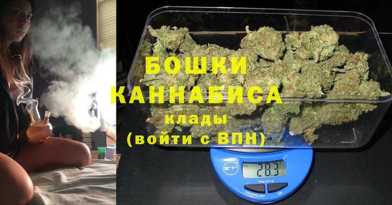 что такое   Зима  Марихуана OG Kush 